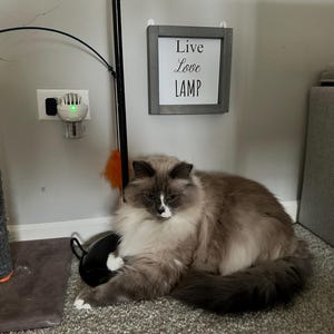Jordan added a photo of their purchase