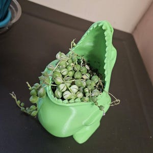 Joyelle added a photo of their purchase