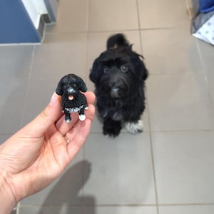 Vero added a photo of their purchase