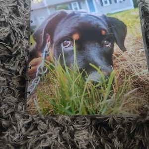 Courtney added a photo of their purchase