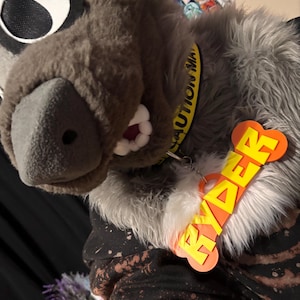 sugar added a photo of their purchase