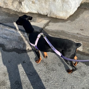 Stephenie added a photo of their purchase