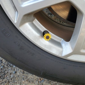 Shirley added a photo of their purchase