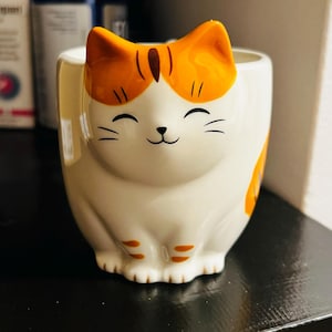 Bowl In Ceramica A Forma Di Gatto Giapponese Con Coperchio, Include Cucchiaio E Bacchette, Capacità Per Insalata E Cereali, Per Ufficio E Casa