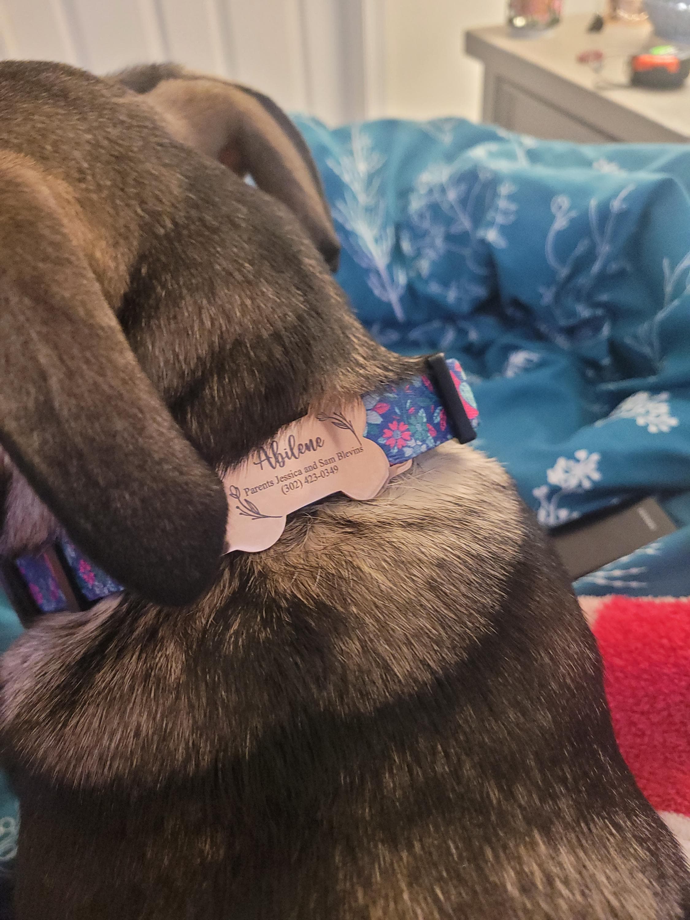 Silent dog tag personalized,Slide on dog tag,Dog Tags For Dogs,Custom Dog Name Tag,Engraved Pet ID Tag,Dog Tag Collar,Cat Tag,Puppy Tag