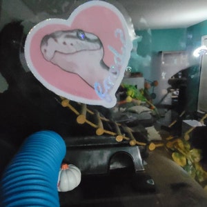 Wendy added a photo of their purchase