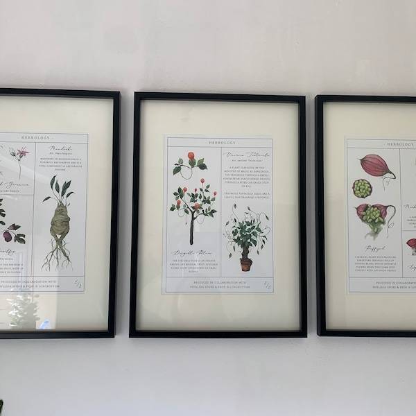 Herbology Chart A4 Print Set - Etsy