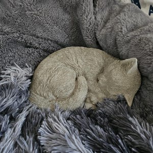 Sara added a photo of their purchase