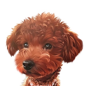 Thalia added a photo of their purchase