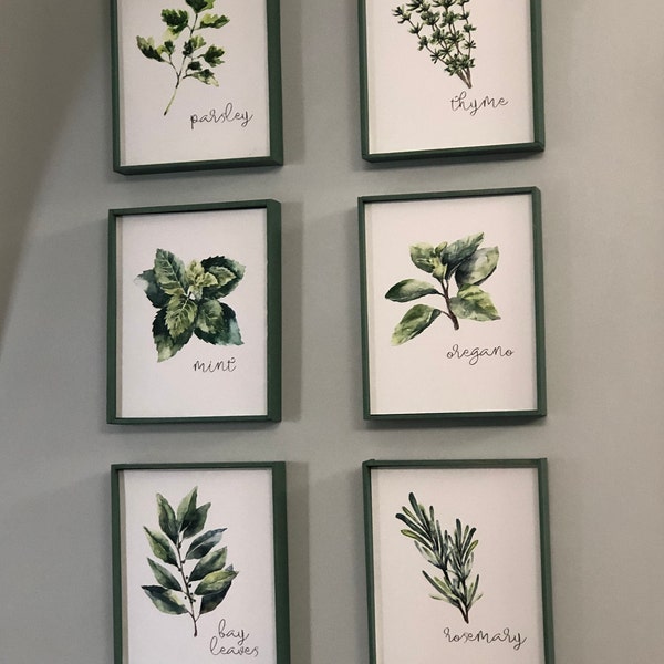Kitchen Herbs Art Prints - Botanical Prints - (set of 6) - 8x10s - Etsy