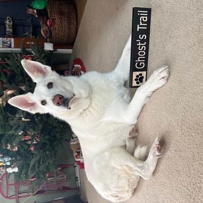 CUSTOM Wooden Trail Sign 4x18 - Etsy