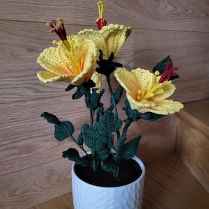 Karine added a photo of their purchase