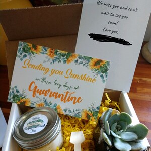 Mackenzie added a photo of their purchase