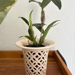 Luis added a photo of their purchase