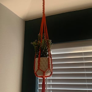 Stephanie added a photo of their purchase