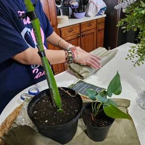 Gabriela ha añadido una foto de su compra