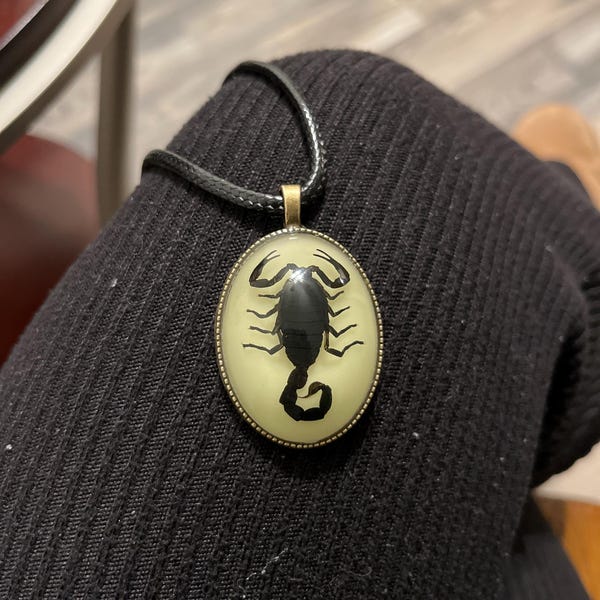 SCORPION BOLO TIE (BLACK)