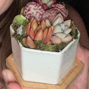 Rebecca added a photo of their purchase