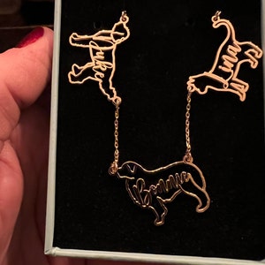 Lucy added a photo of their purchase