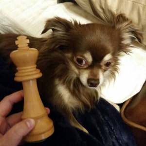 Emily added a photo of their purchase