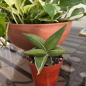Rhonda added a photo of their purchase