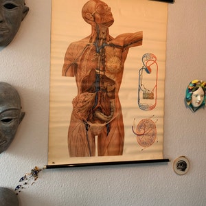 Dennis a ajouté une photo de son achat