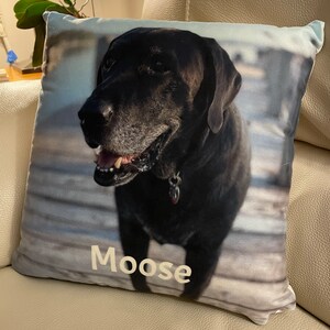 Tina added a photo of their purchase