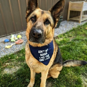 The Farts Are Strong With This One Dog Bandana - Etsy