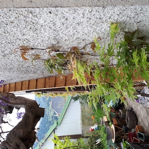 chantal ha aggiunto una foto del proprio acquisto