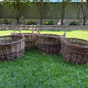 Robin added a photo of their purchase