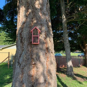 Hannah added a photo of their purchase