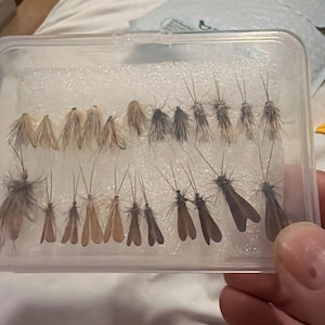 jason added a photo of their purchase