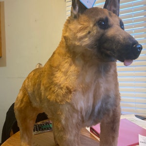 Sam added a photo of their purchase