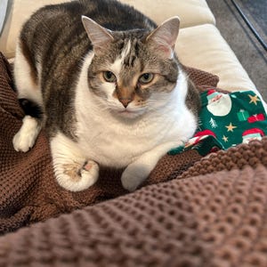 M added a photo of their purchase