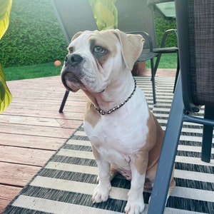 Roxy ha aggiunto una foto del proprio acquisto