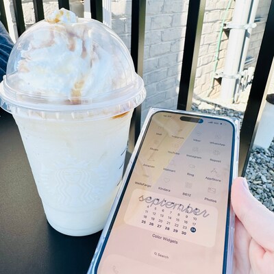 Desktop Wallpaper Organizer Macbook Minimalist Windows - Etsy