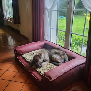Dr. added a photo of their purchase