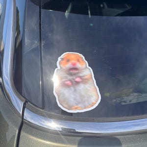 Hayden added a photo of their purchase