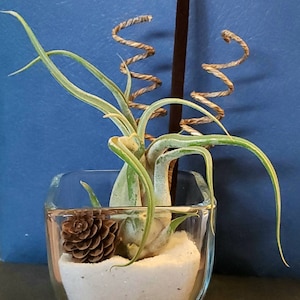 Stacy added a photo of their purchase