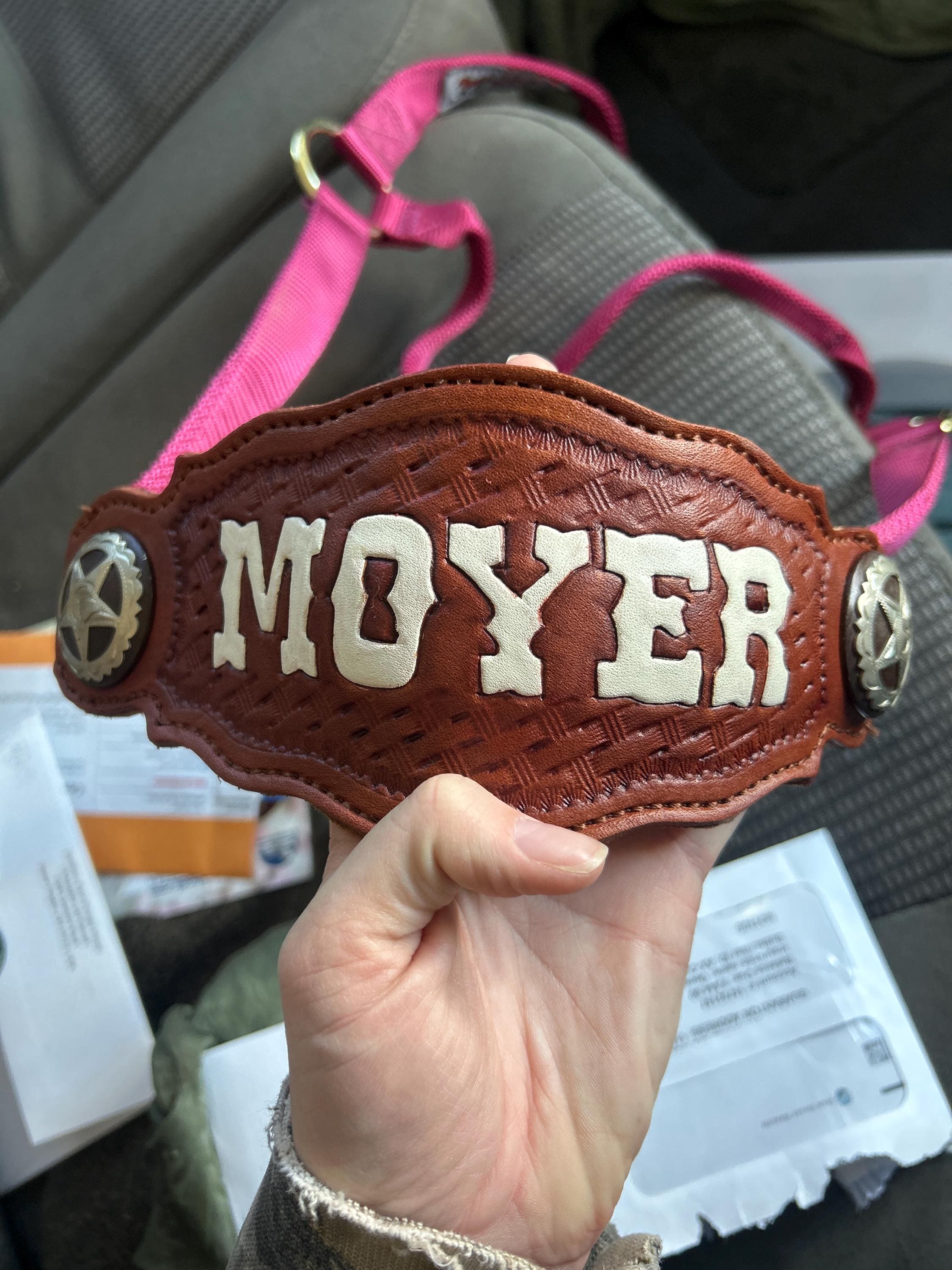 Custom Nylon Bronc Halter - Stronger Design Than Tab Style Leather Noseband