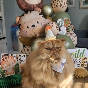 Stephanie added a photo of their purchase