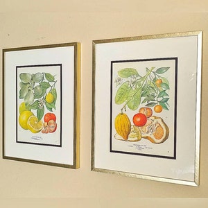Buyer photo Holly Mitchelson, who reviewed this item with the Etsy app for Android.