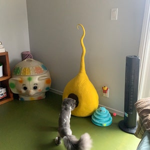 Leilani added a photo of their purchase