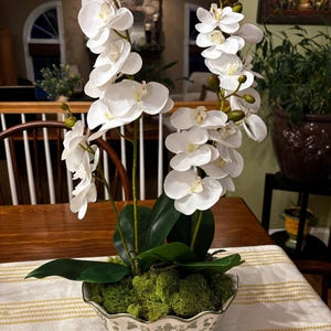 Kerri added a photo of their purchase