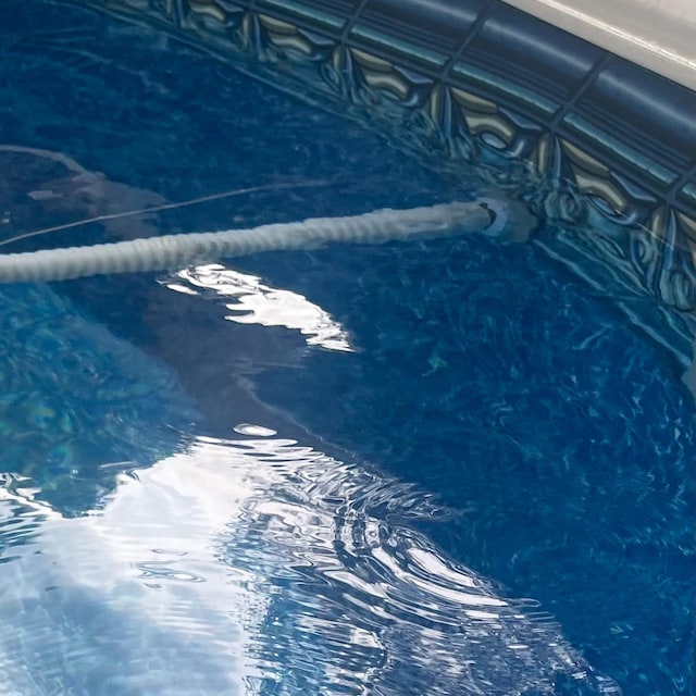 【匿名配送】Swimming Pool Intex Automatic Pool Cleaner ZX300 Deluxe | BigEasyMart.com