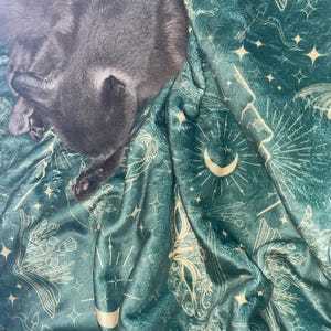 Triste added a photo of their purchase