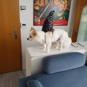 Angelika ha añadido una foto de su compra
