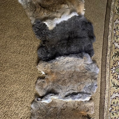 Assorted Natural Color Rabbit Fur Pelts Craft Grade 5pk Assorted - Etsy