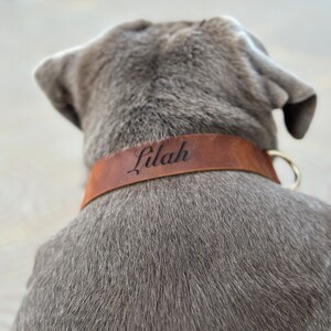 Mia added a photo of their purchase
