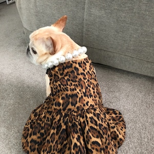 Tamara Evers added a photo of their purchase